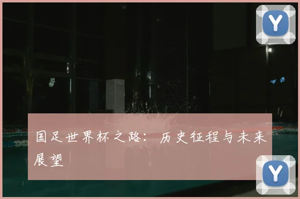 国足世界杯之路：历史征程与未来展望