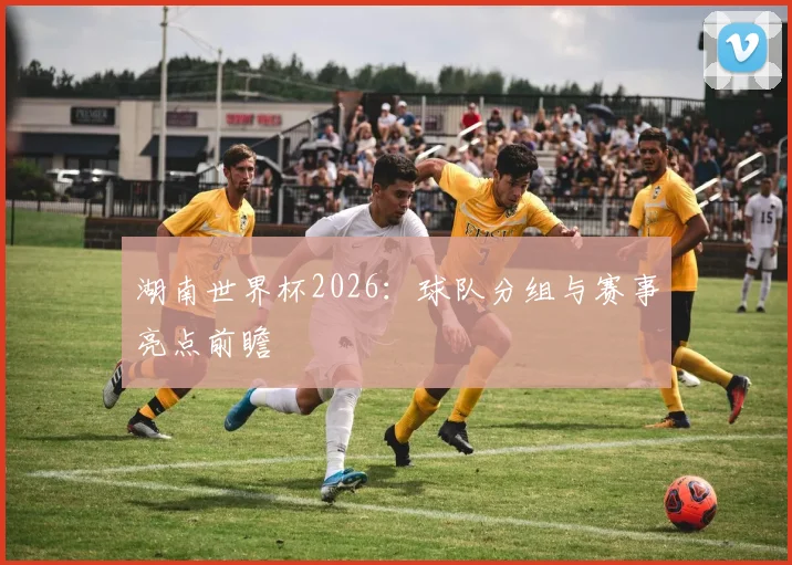 湖南世界杯2026：球队分组与赛事亮点前瞻